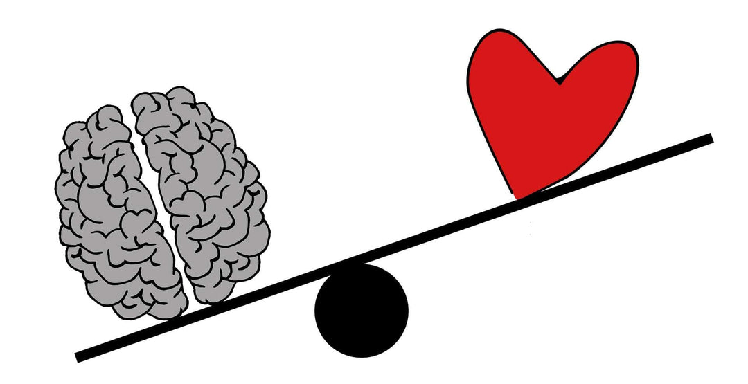 Tischtennis Gehirn und Herz