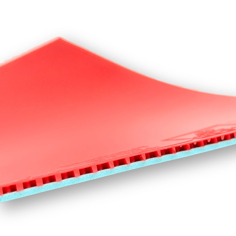 Anti Top Bundle (Gefährlich)